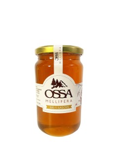 Μέλι Δάσους 950g