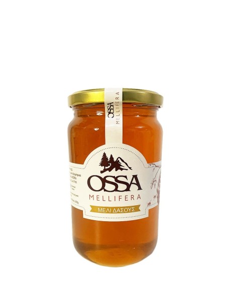 Μέλι Δάσους 950g